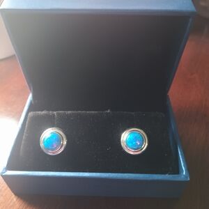 Elegant Silver and Blue Earrings